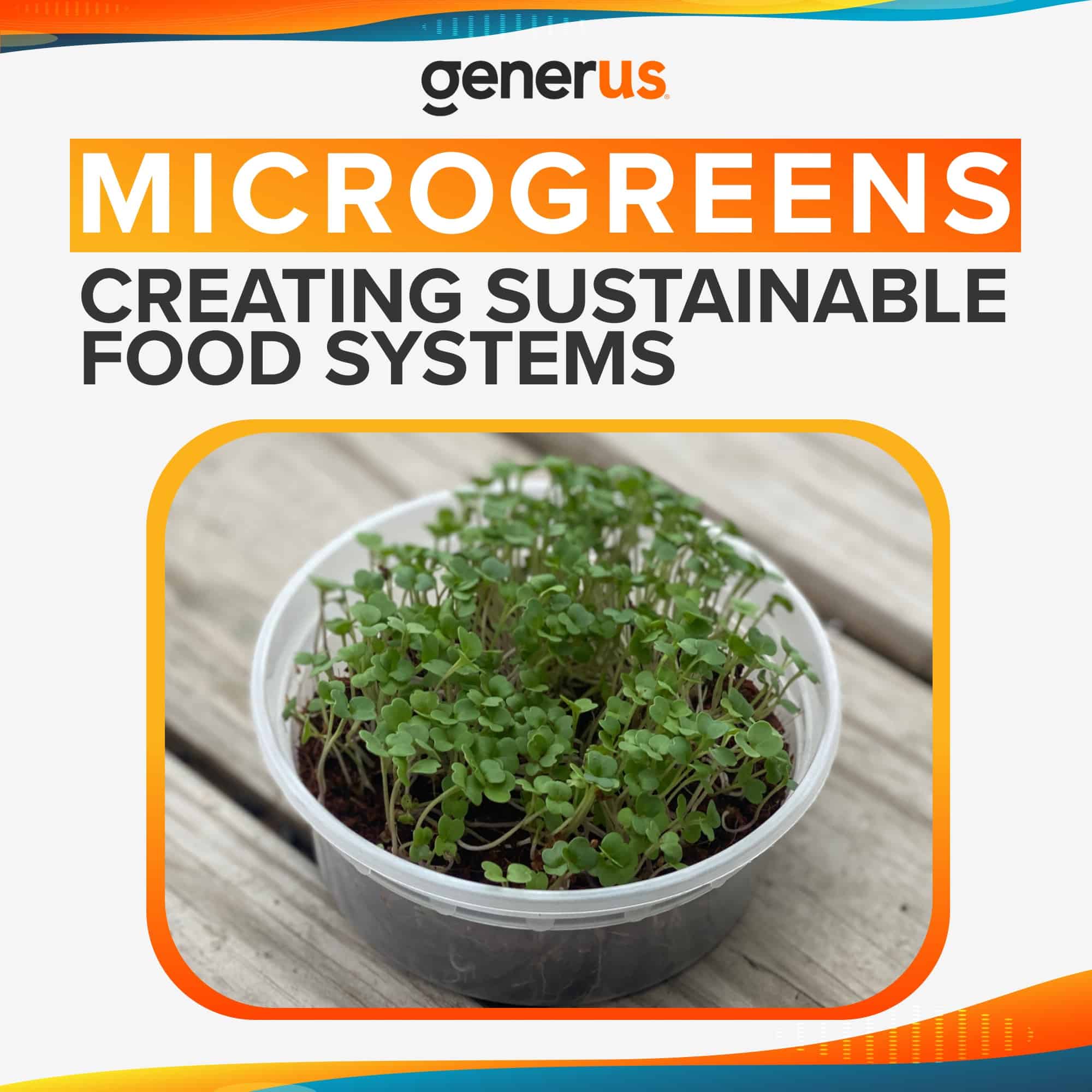 Microgreens Creating Sustainable Food Systems