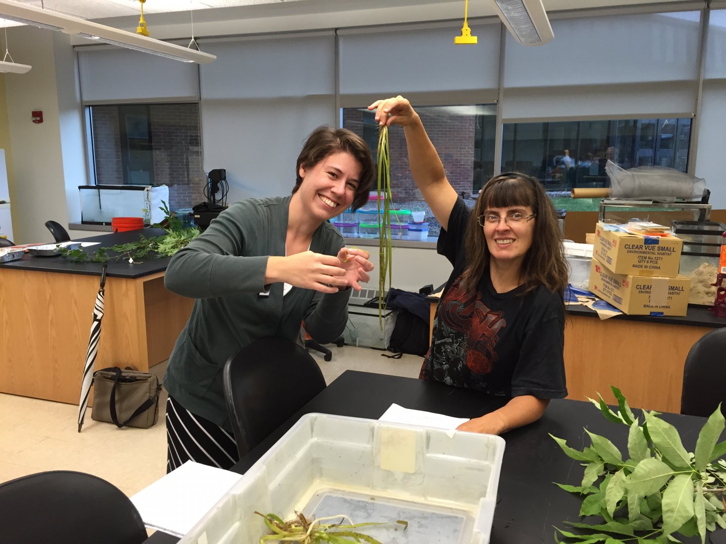 Master Teacher SUNY Geneseo