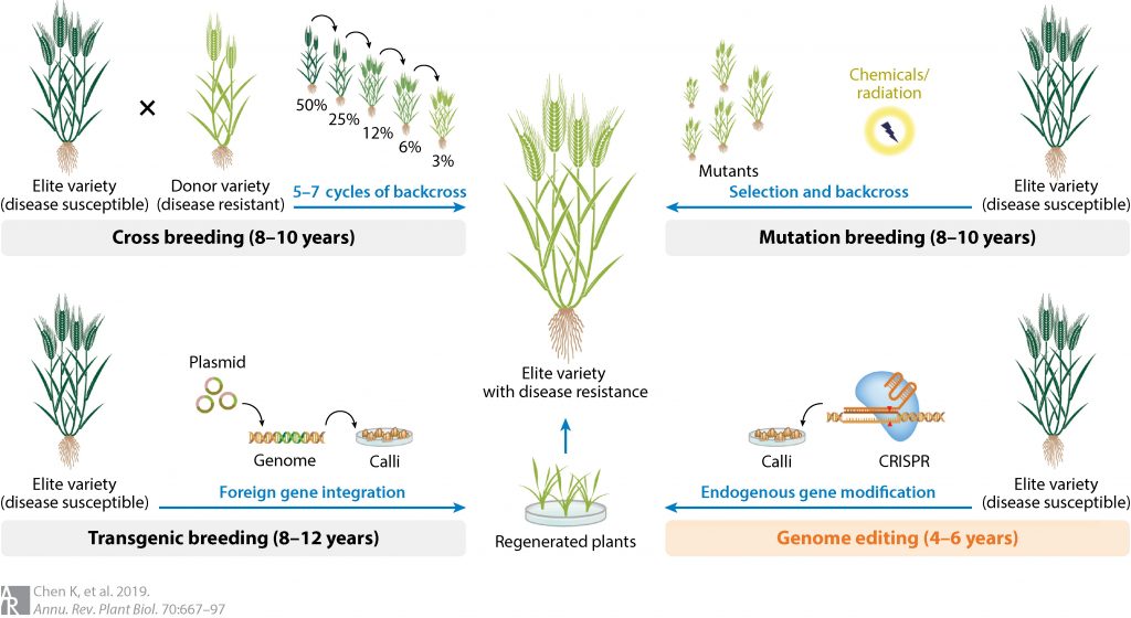 New Plant Breeding Techniques GeneSprout Initiative