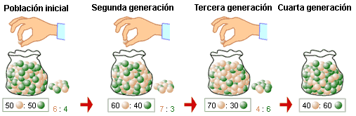 Deriva genética. BIOLOGIA