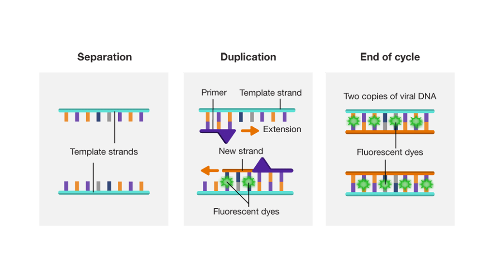 Understanding COVID19 PCR Testing