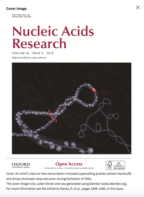 Cover of Nucleic Acids Research group Stasiak