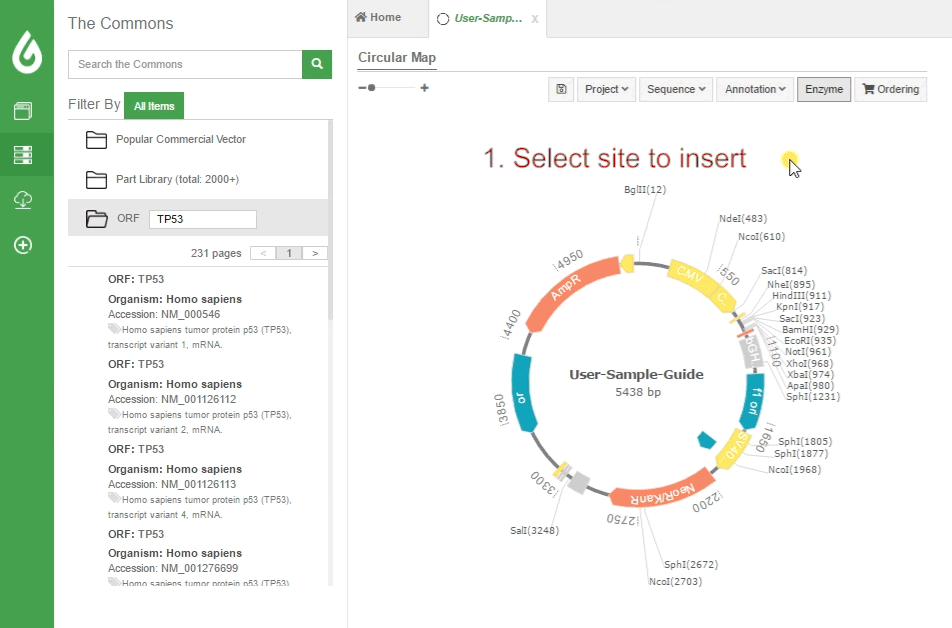GenSmart Design Free DNA construct design tool and free plasmid map