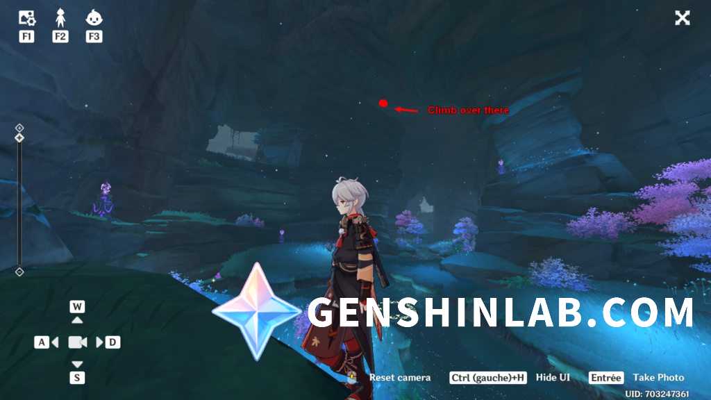Genshin Impact Electroculus Location Guide 9095 GenshinLab