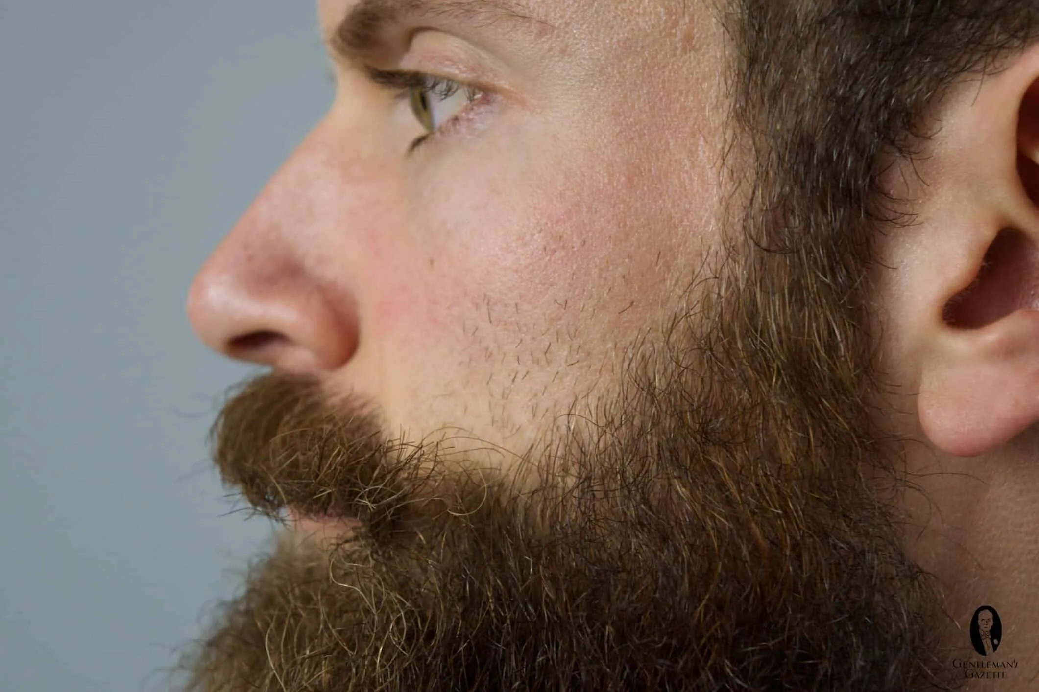 How To Trim A Beard