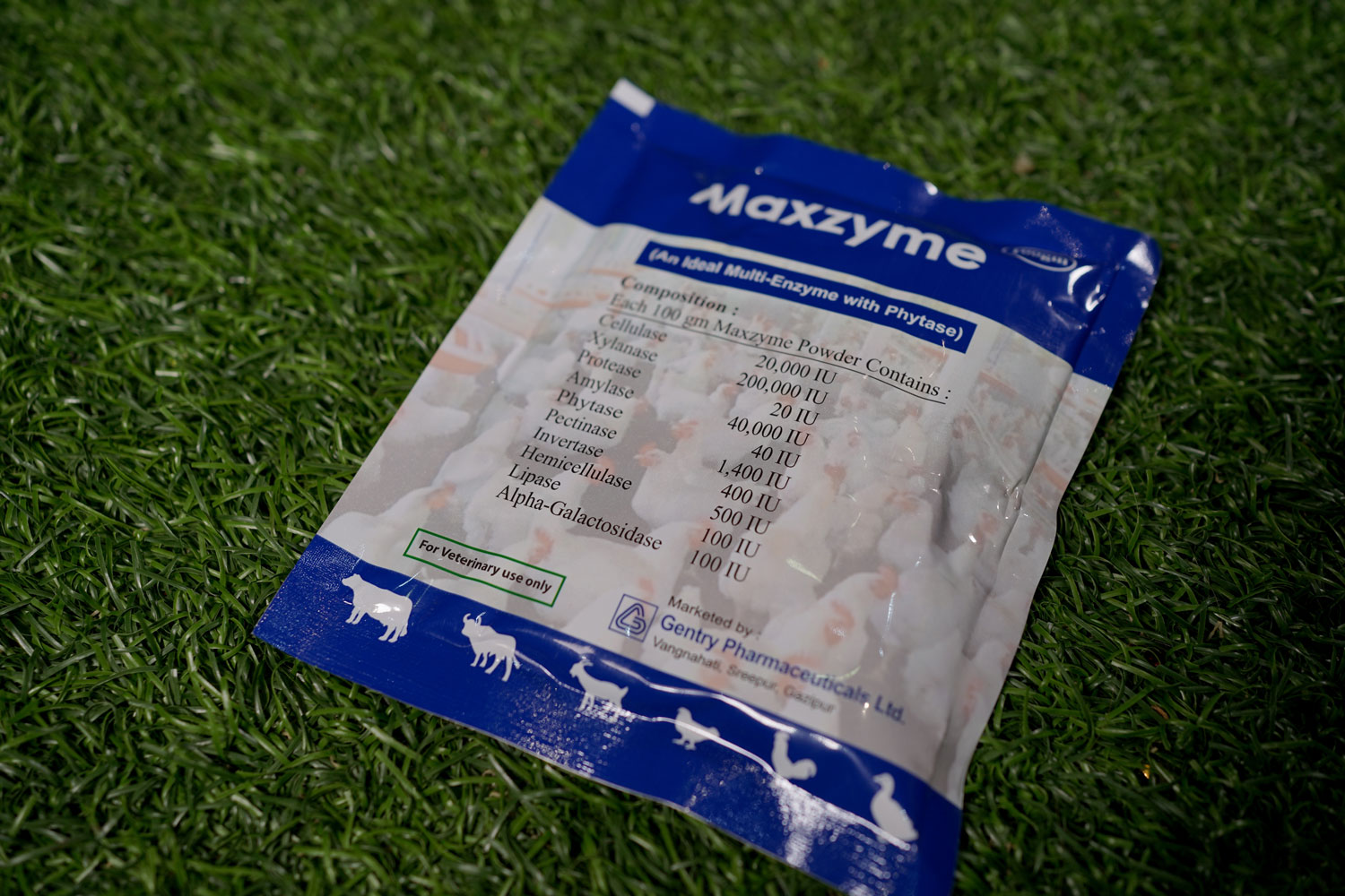 Maxzyme (Powder) Gentry Pharmaceuticals Ltd