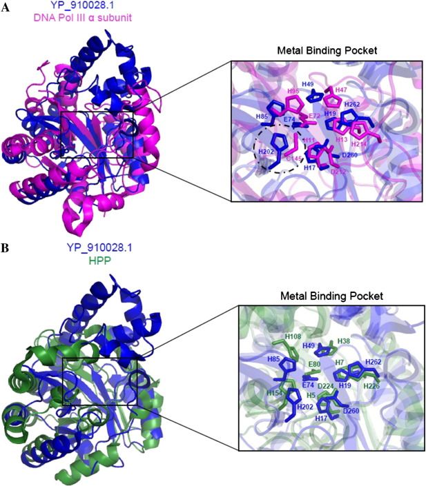 Our Protein Function Prediction A.I. model managed to achieve the