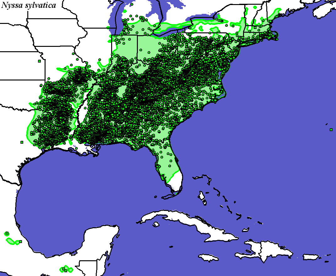 Home Range Shifts for Nyssa_sylvatica Predicted Under Climatic Change