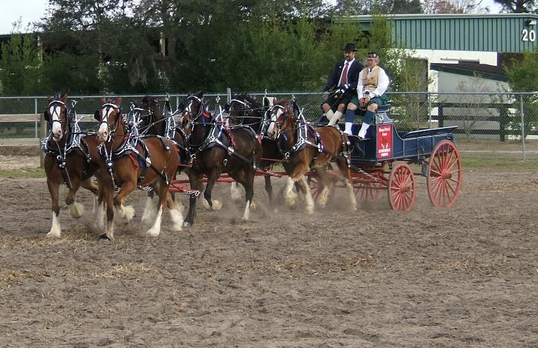 home [www.geocities.ws]