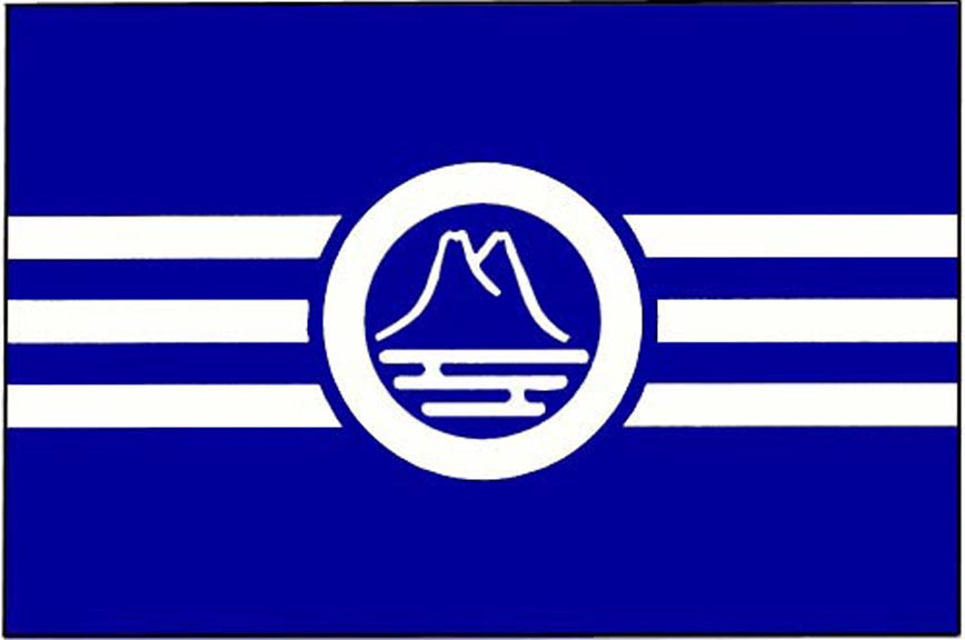 Design your own flag