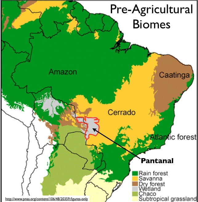 Brazil Map Agriculture
