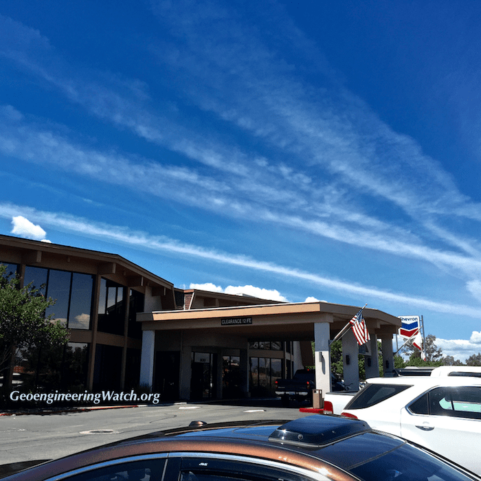 Climate Engineering, Government Criminality, And Vaccine Dangers Major