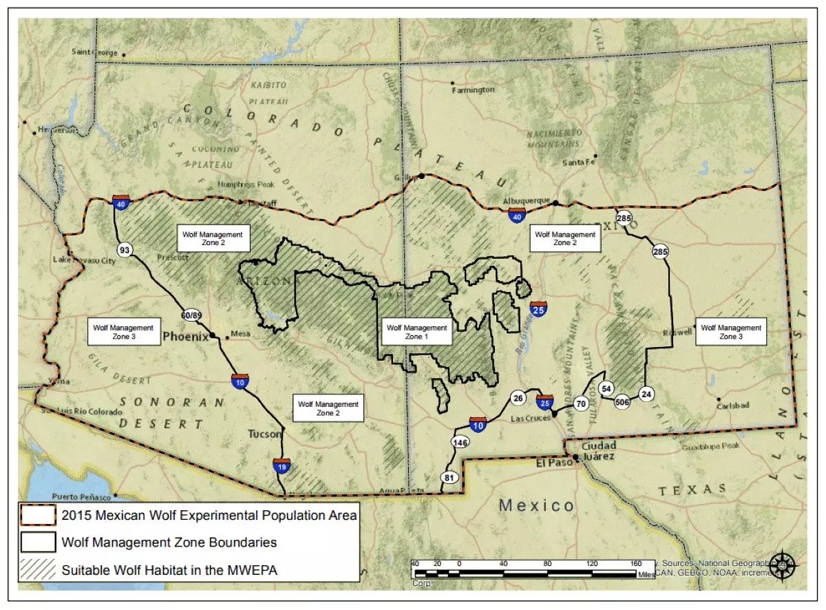 Reintroduction of the Mexican wolf nears 25th anniversary Geography Realm