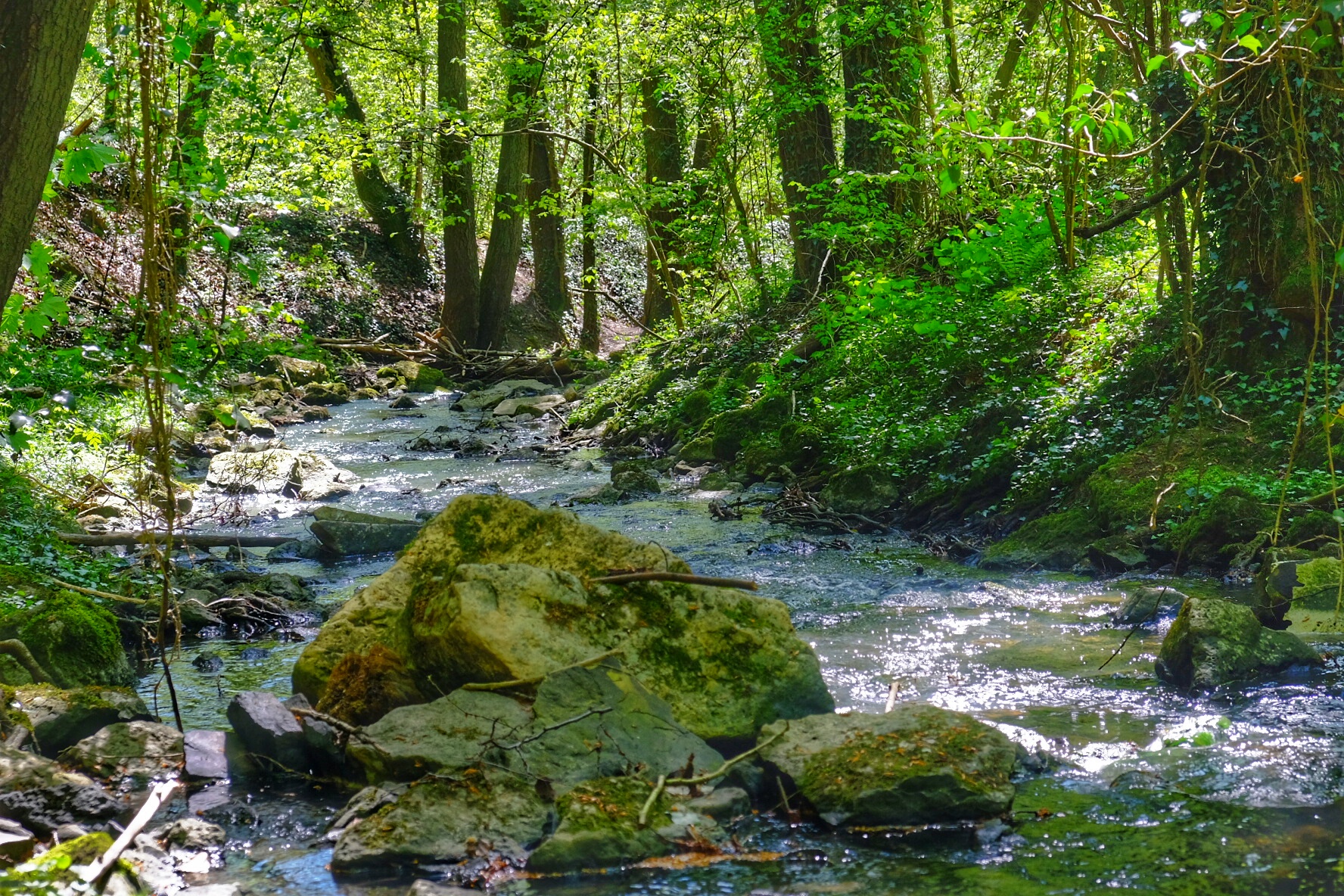 Wandern im Saarland Geolemminge