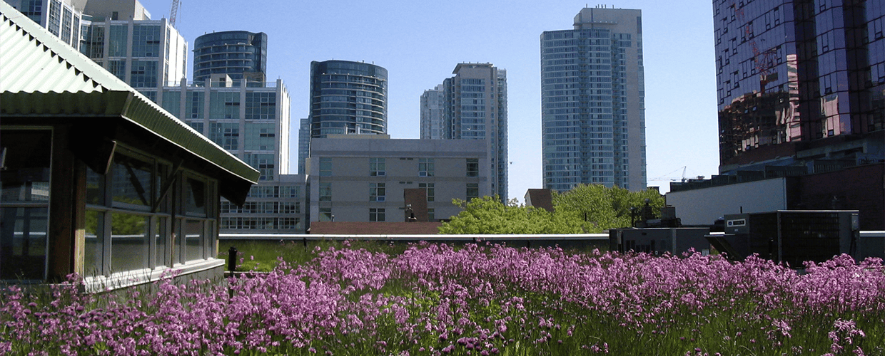 Green Roof Retrofitting of Existing Buildings Improves