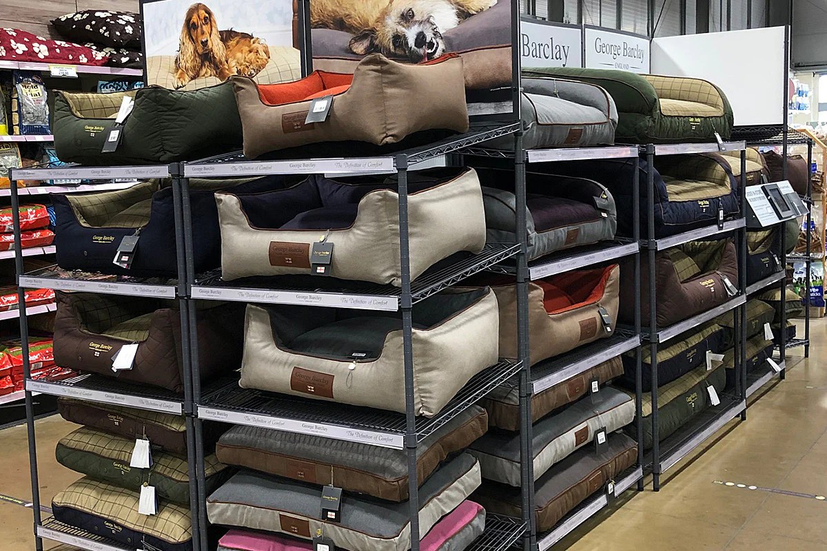 How to try our dog beds before you buy them Barclay