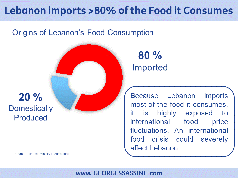 How to Reduce Food Prices in Lebanon Sassine