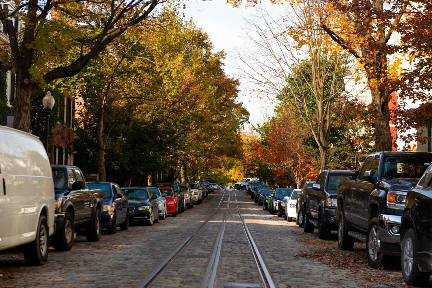 10 Best Free Things to do in DC this Fall University