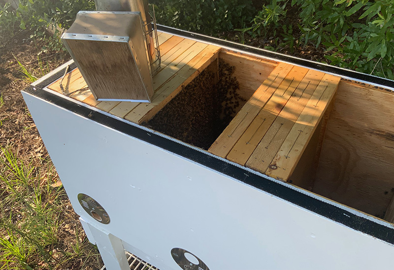 20Frame Layens Hive Bee Source