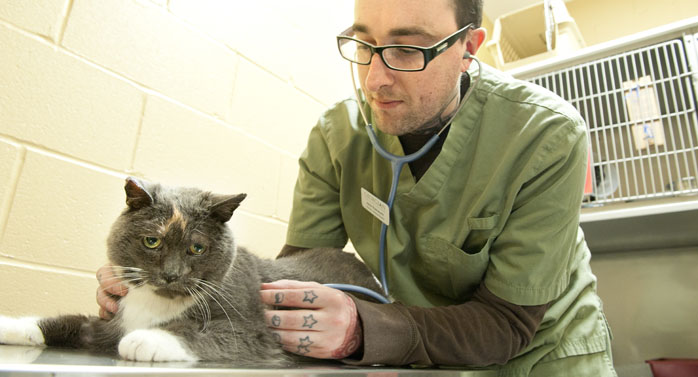Veterinary Assistant Fulltime program College