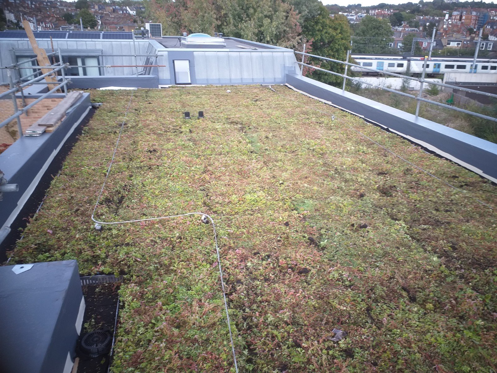 Green roof systems Roofing London