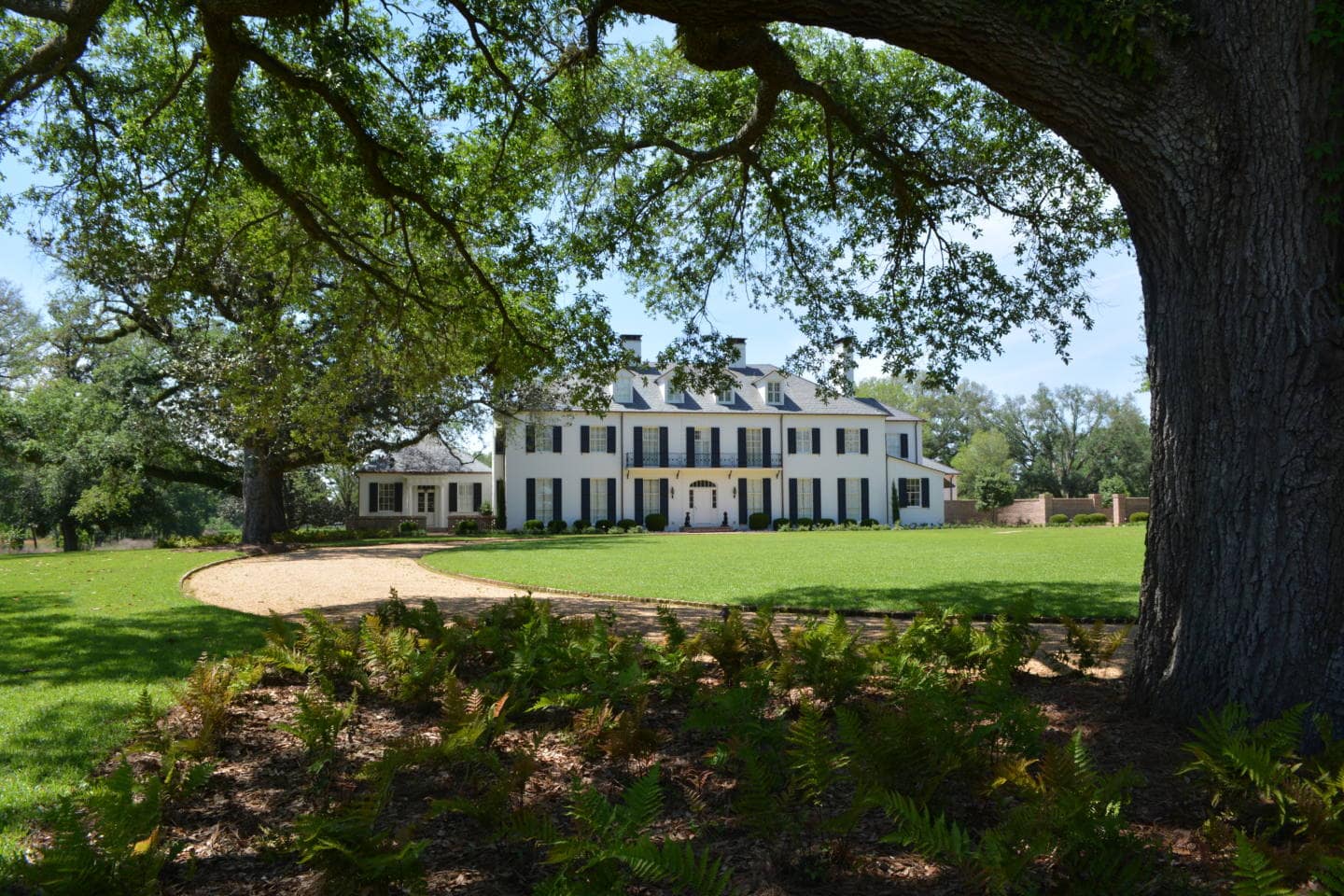 Blue Springs Plantation The Trust