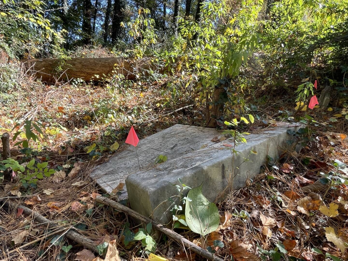 Piney Grove Cemetery The Trust