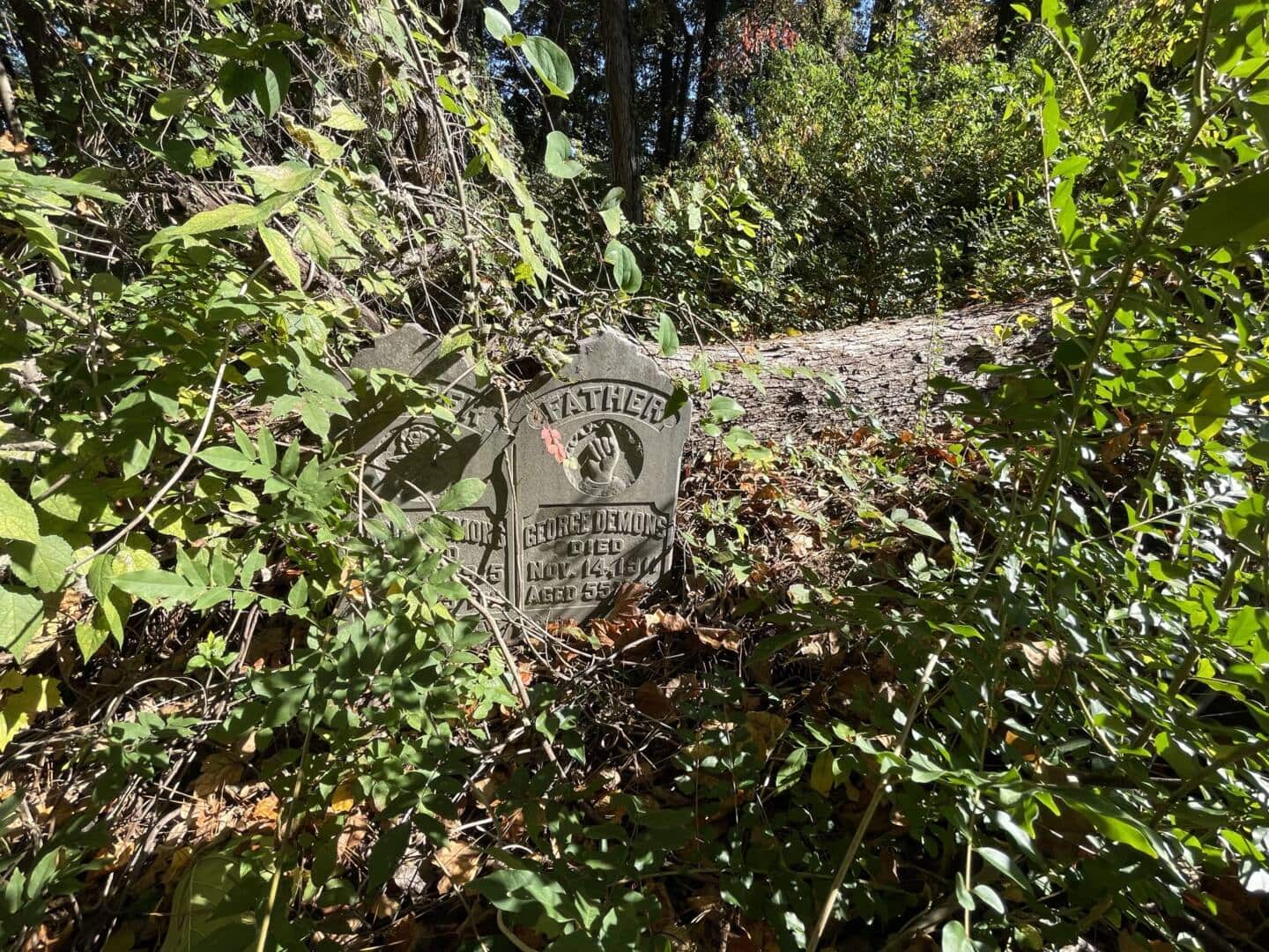 Piney Grove Cemetery The Trust