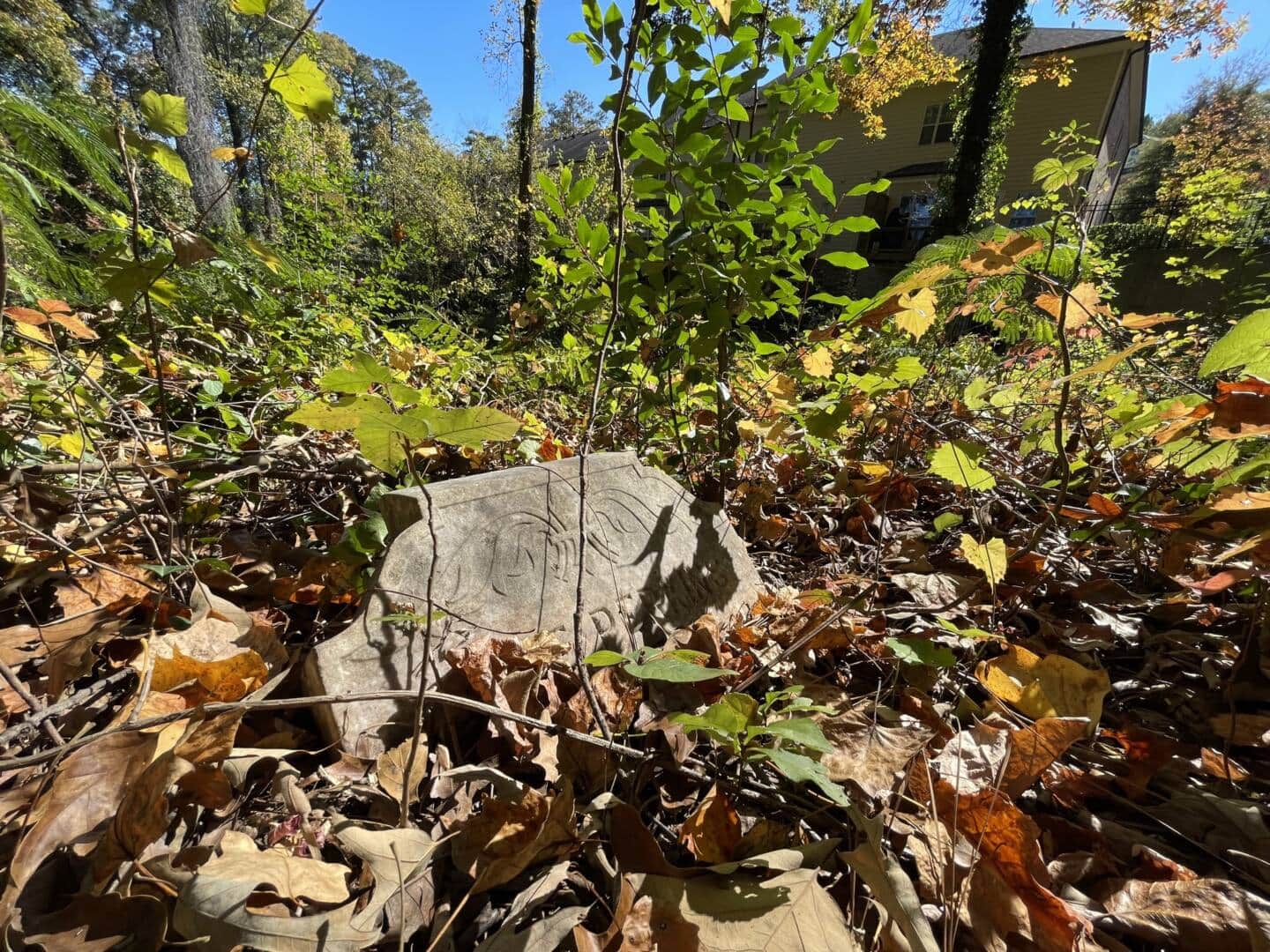 Piney Grove Cemetery The Trust