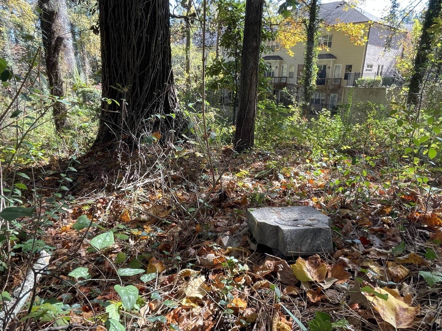 Piney Grove Cemetery The Trust