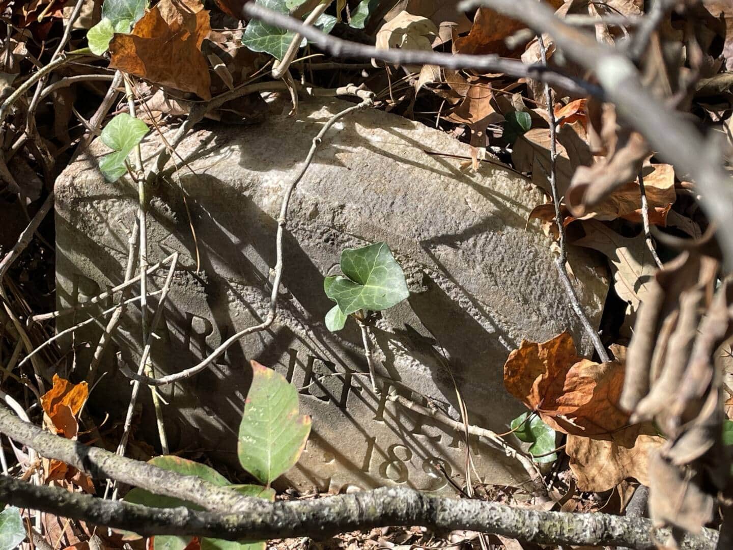 Piney Grove Cemetery The Trust