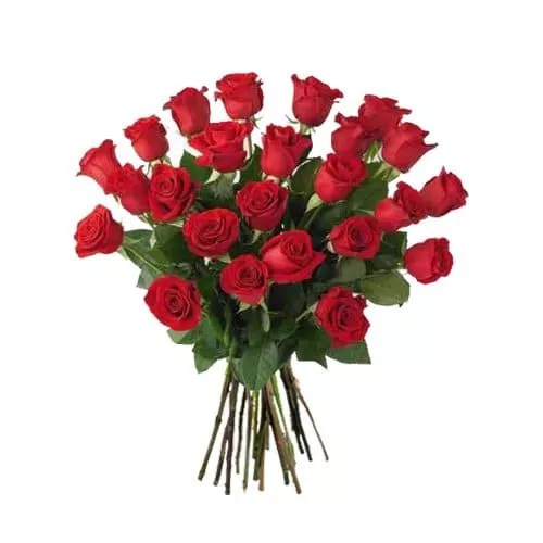 Online Birthday Gift Delivery in Germany 1 Local Florist & Gift Shop