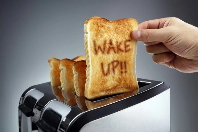 Top 10 Best 4 Slice Toasters On The Market 2020 Quick & MultiFunctional