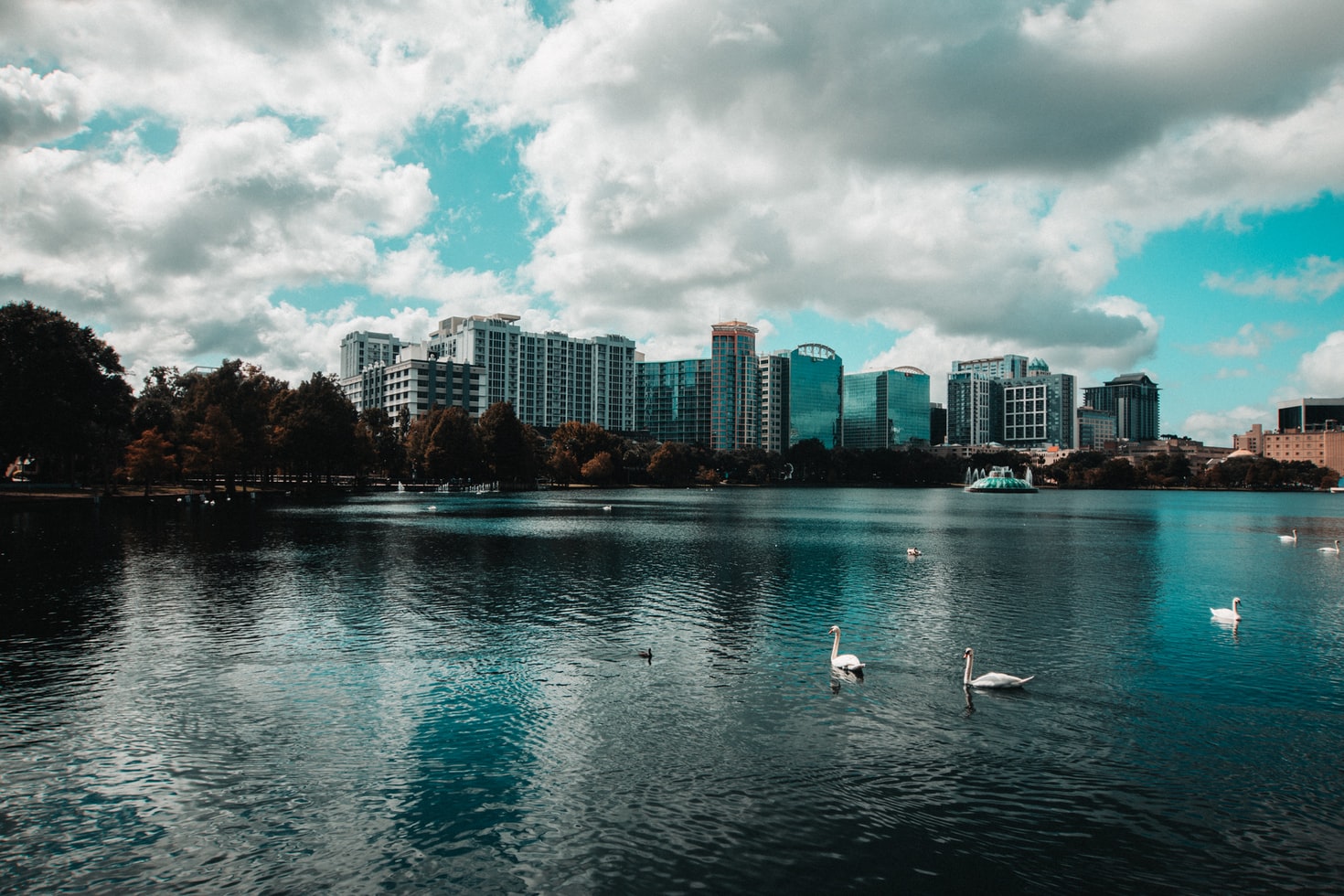 The Best Neighborhoods in Orlando for Families Bellhop