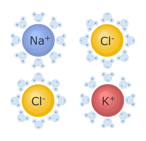 Ions Cations and Anions