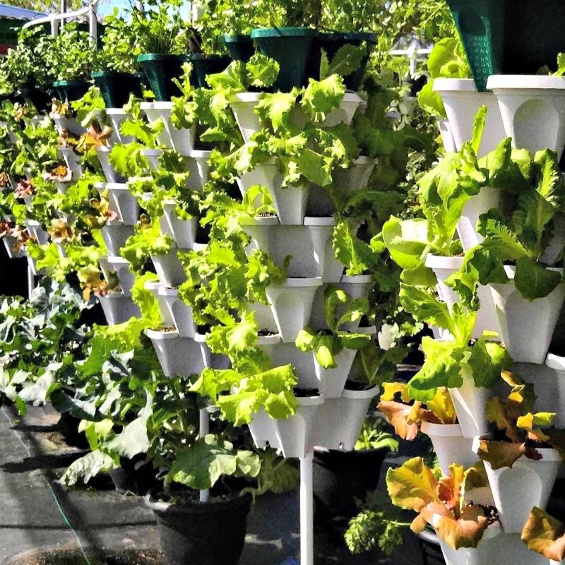 Mr Stacky Stackable Planter Plant a Vertical Garden Easily GetdatGadget