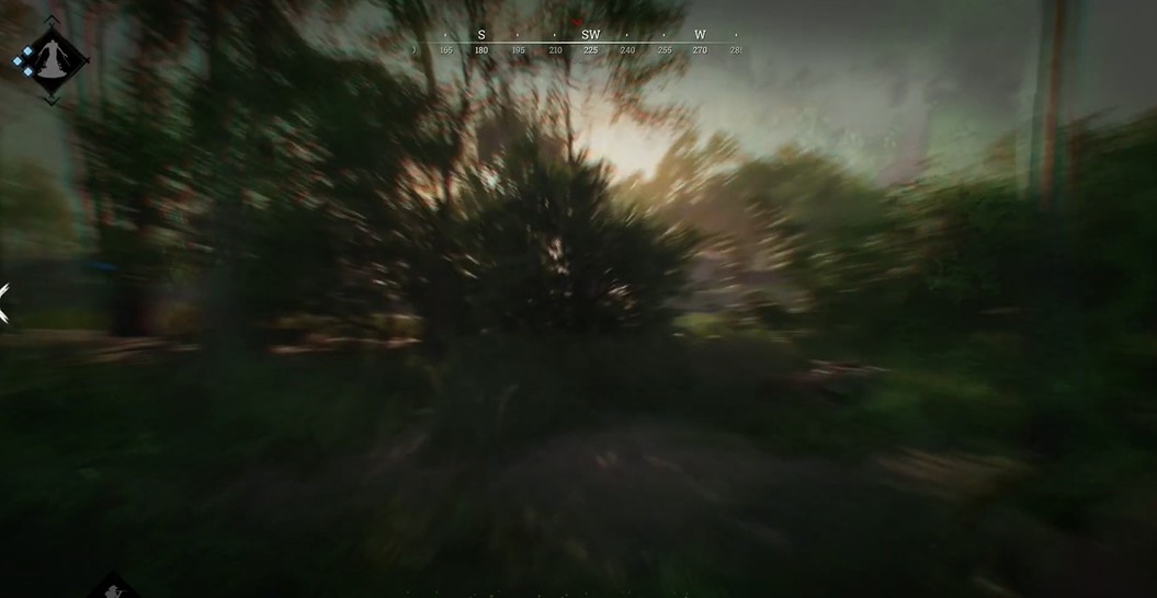 Fix Hunt Showdown blurry vision after suffering from poison vision expires