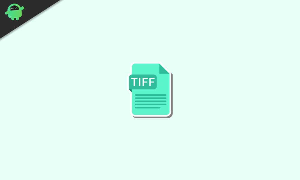 What is TIFF File How to Open it on Any Device?