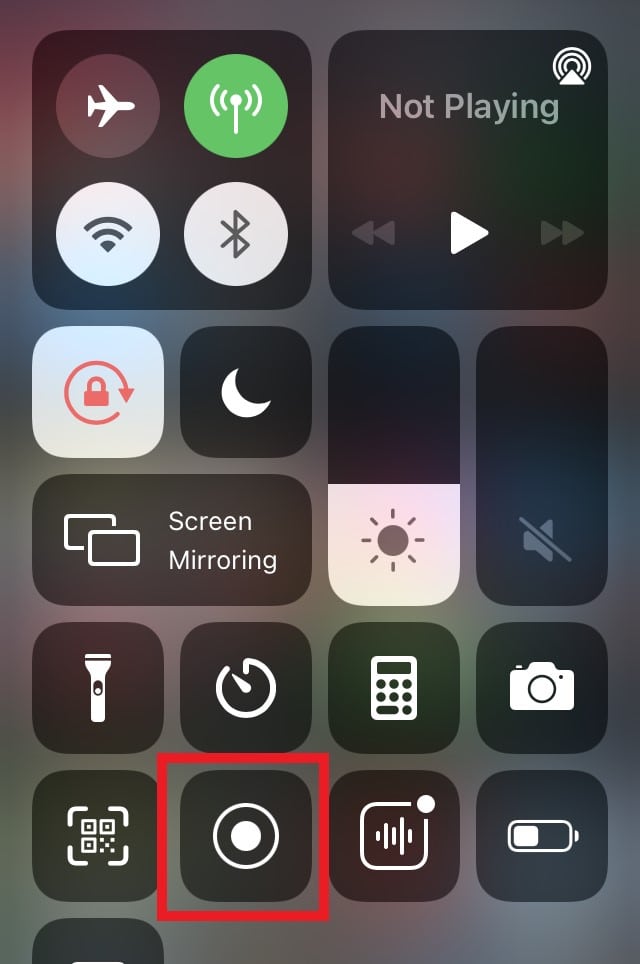 How to Record FaceTime Calls on iPhone and iPad