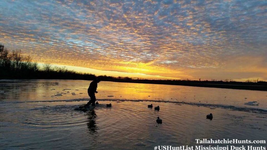 Mississippi Duck Hunting USHuntList Tallahatchie Hunts