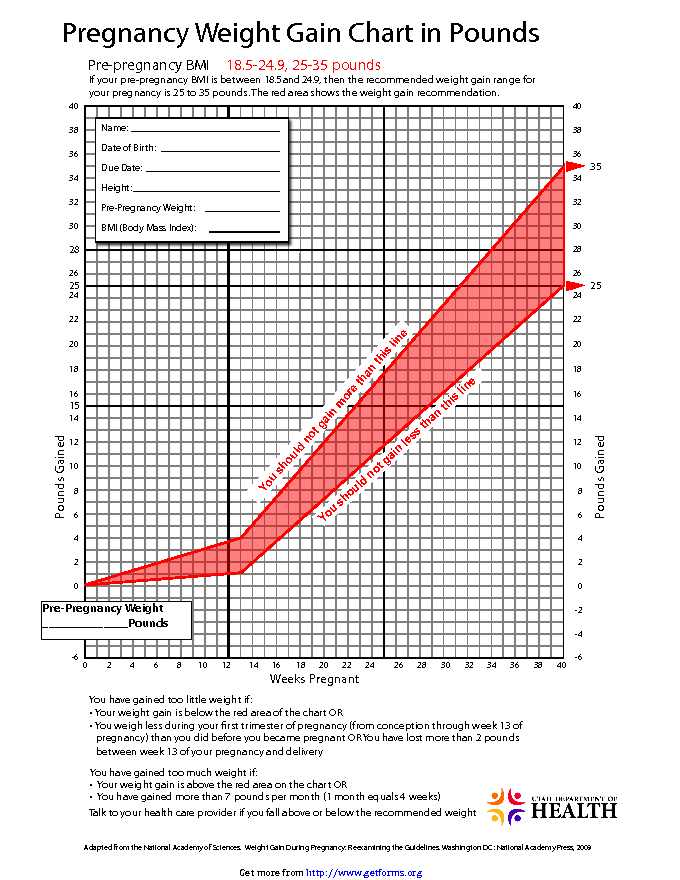 Fetal Development Chart - download Pregnancy Chart for free PDF or Word