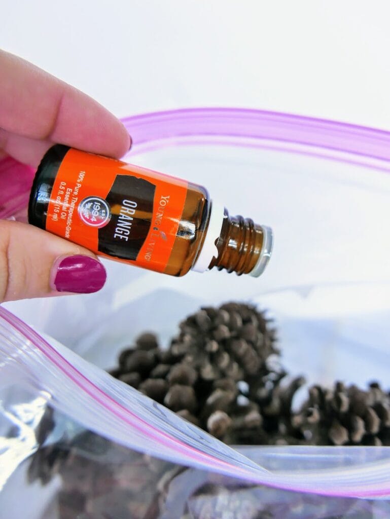 How to Make Cinnamon Pine Cones 2 Ways! Get Green Be Well