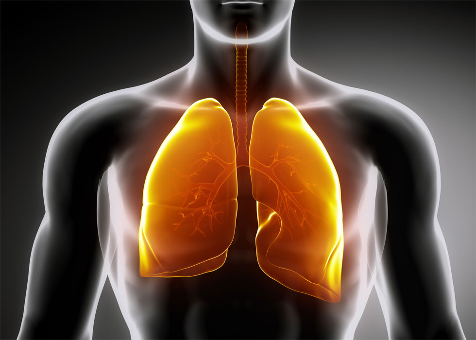 8 Things You Can Do Easily to Strengthen Your Lungs GetHow