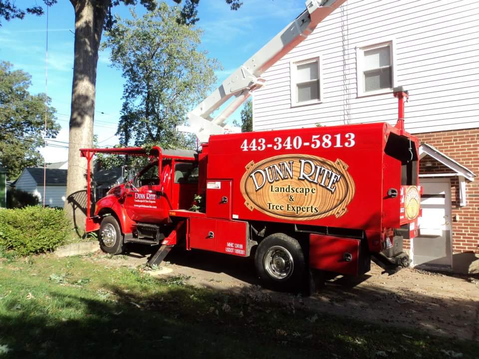 Dunn Rite Tree Experts
