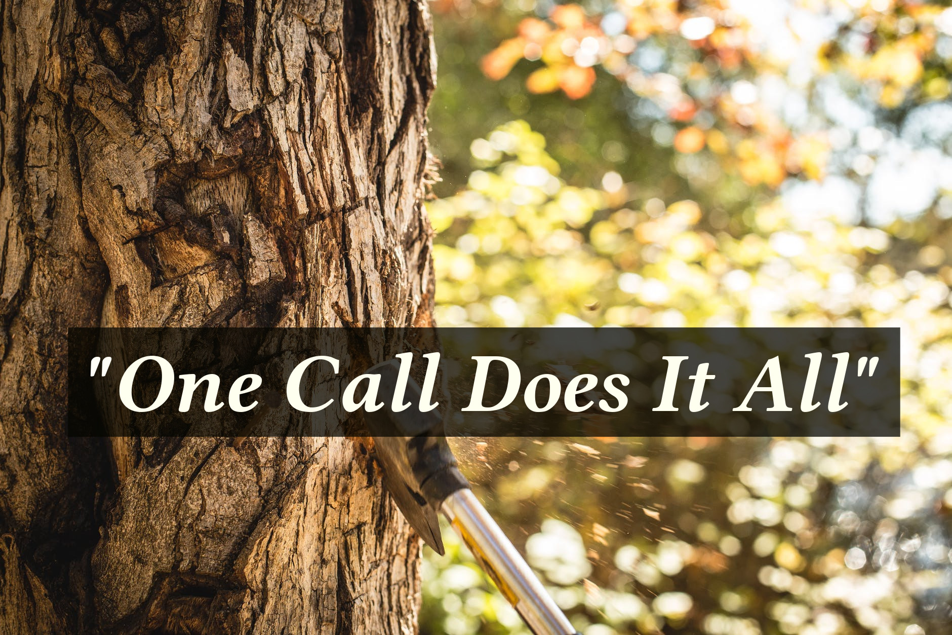 Dunn Rite Tree Experts