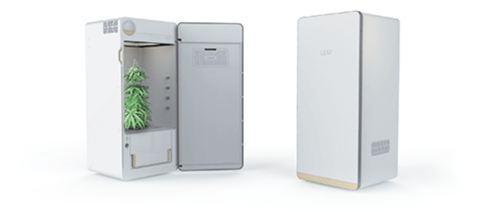 LEAF The Automatic Home Grow System For Medical Plants and Food
