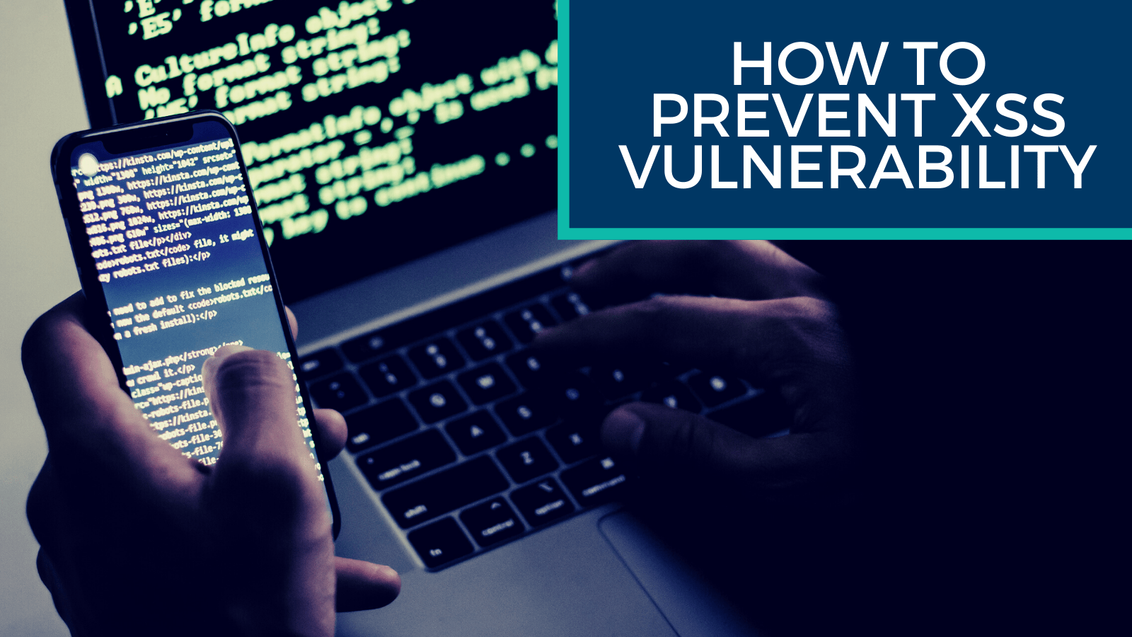 How to Prevent XSS Vulnerability XSS Attack Protection
