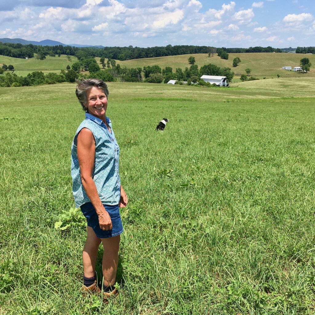 Whiskey Creek Angus Excludes Cattle From Two Streams