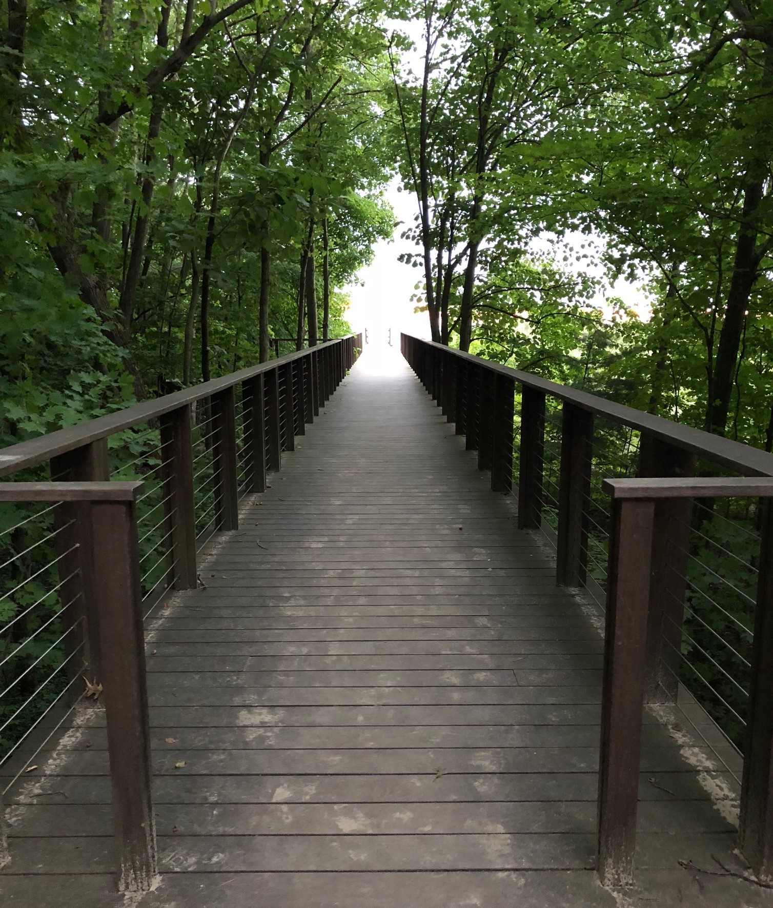 Beach Bums No More (…conclusion) Getting Through This