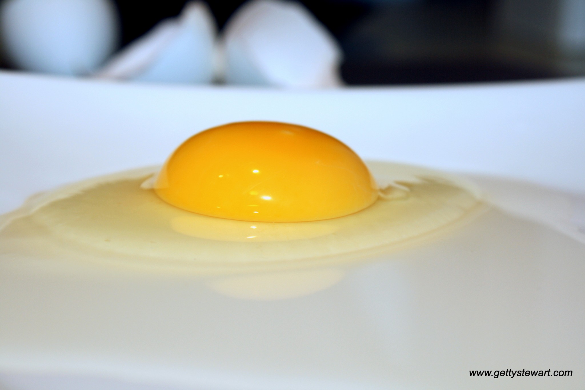 Egg Facts Top 10 FAQs About Eggs
